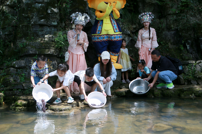 人工增殖放流百余尾幼苗，張家界黃龍洞“大鯢家園”再添新丁